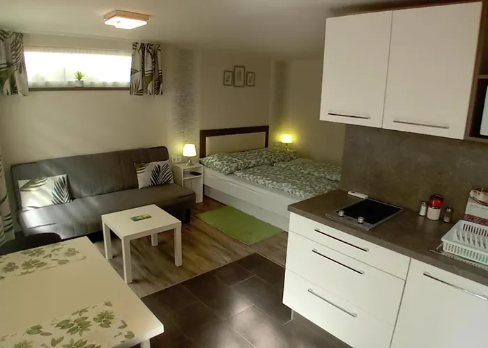 Appartement Gyarmati *